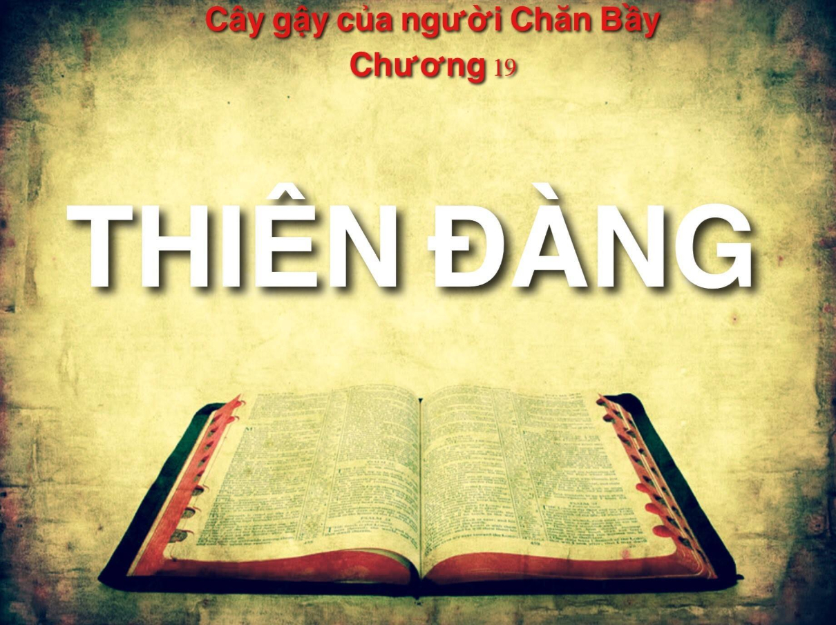 caygaycuanguoichanbaychuong19 1210x905