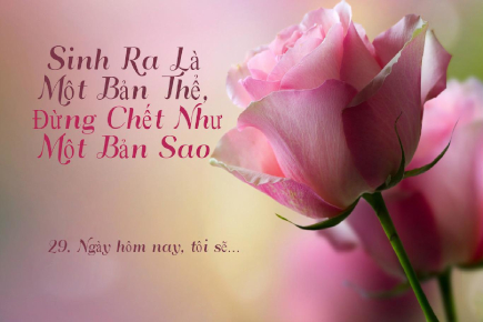 sinhralamot29 435x290