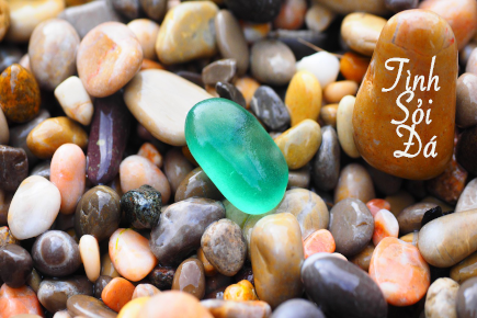 01ThoTinhSoiDa 435x290pebbles 1090536 1280