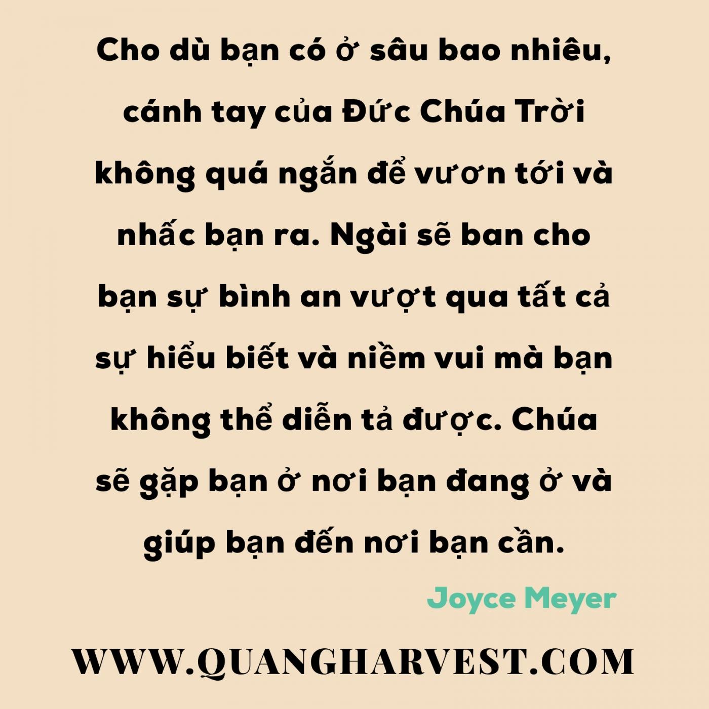 Cho dù bạn
