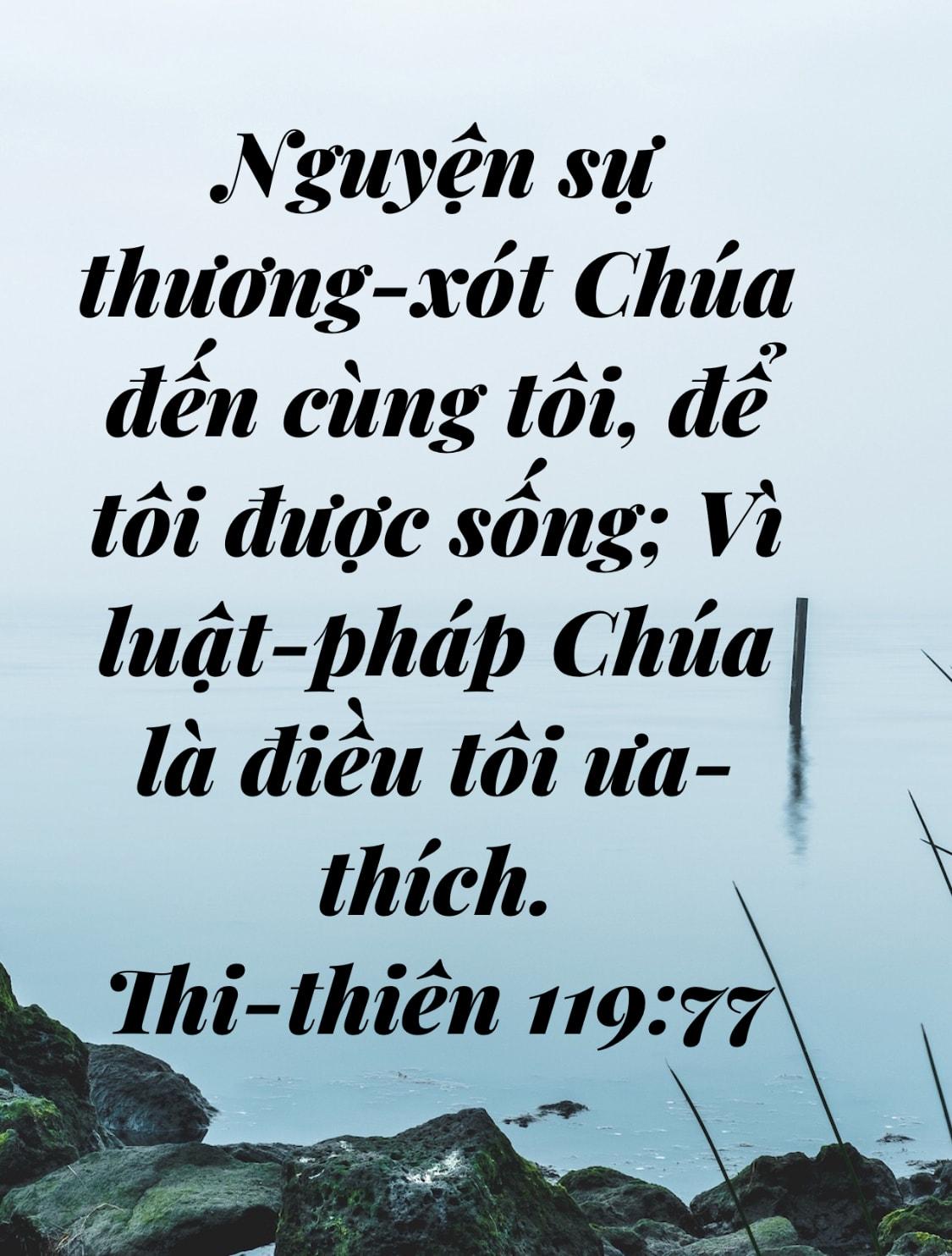 ThiThien119:77