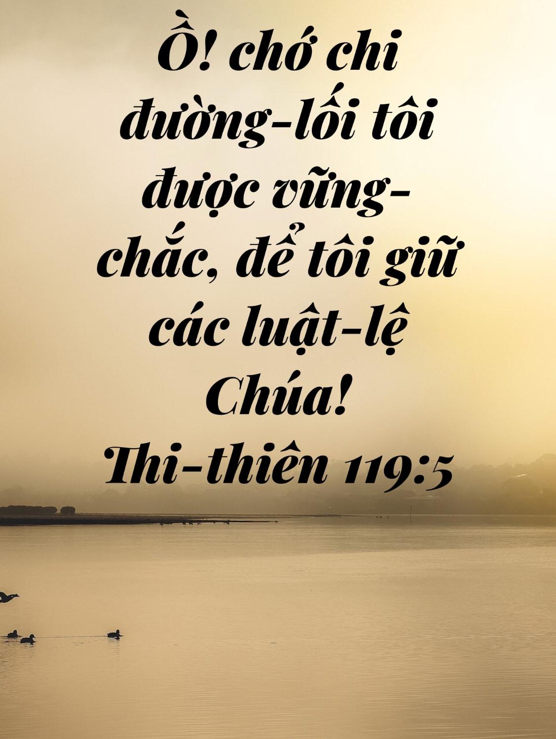 ThiThien 119 105